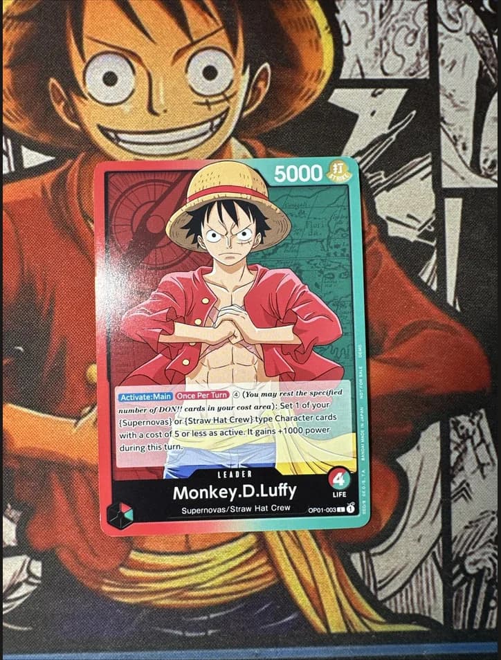 Monkey D. Luffy photographed on a one piece