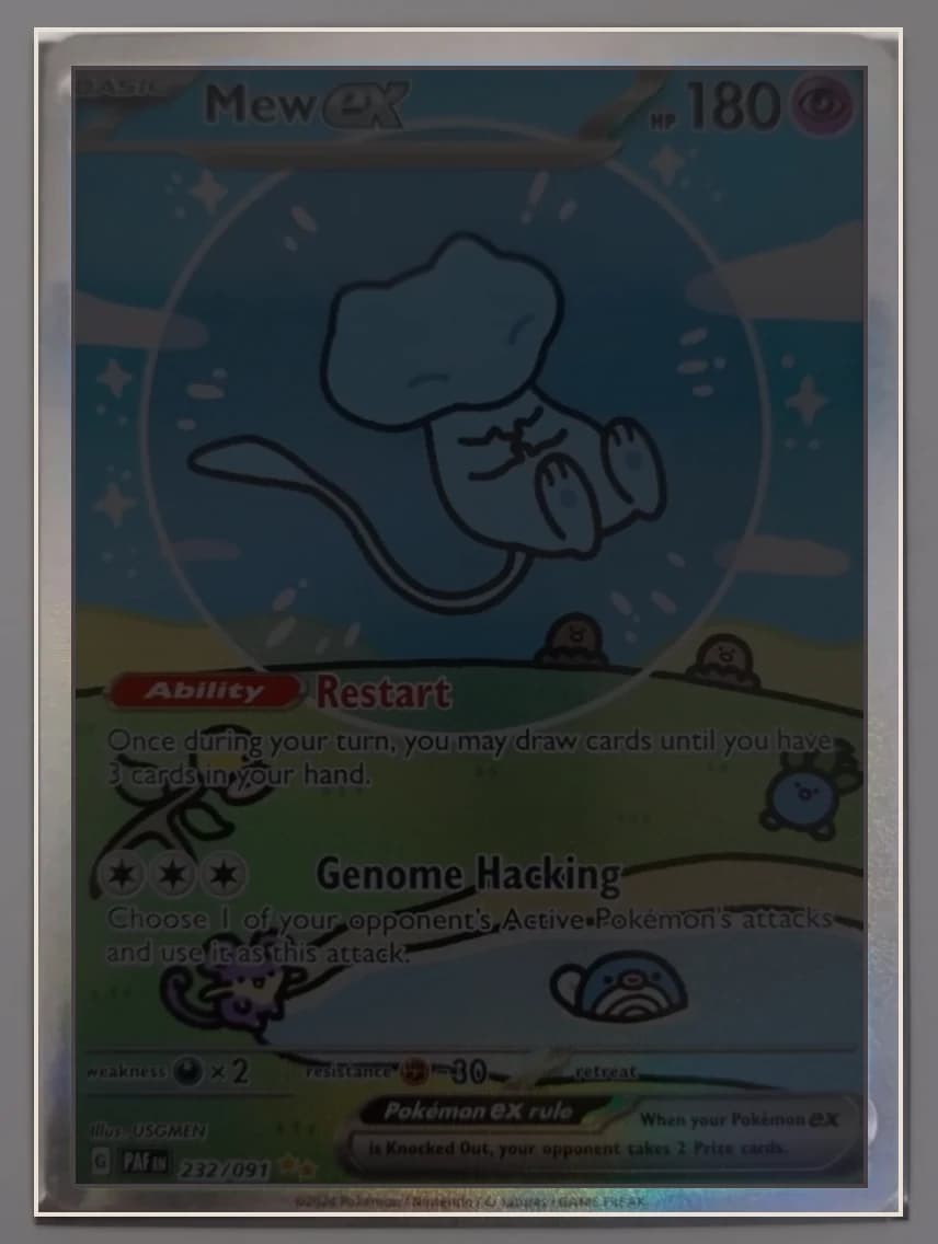 Mew ex warped flat with its centering borders detected automatically